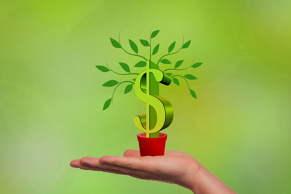 growing money